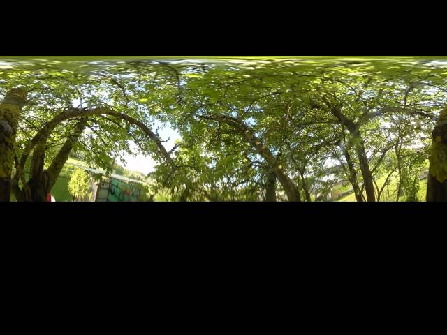 Blick aus dem Baum, 360°
