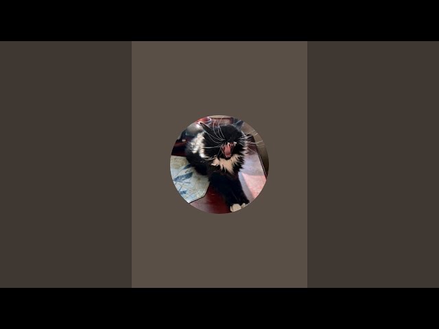 Olga (USA) Чёрное море  is live!