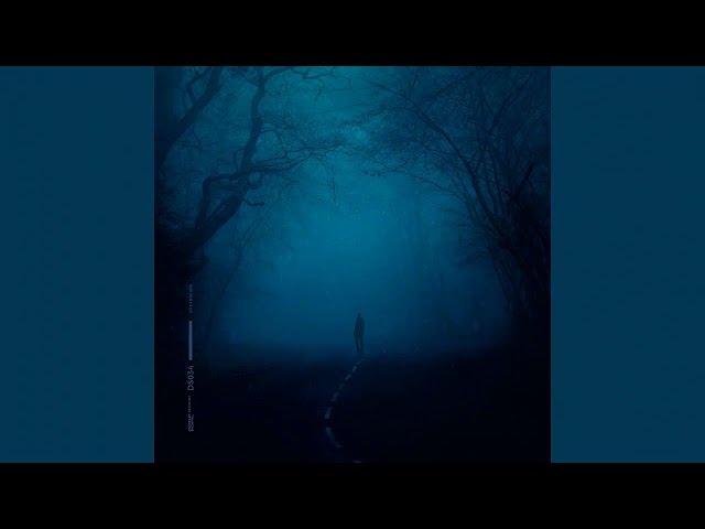øneheart x reidenshi - snowfall (Extended for 10 mins)
