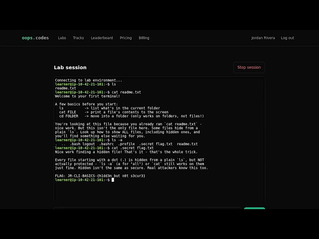 Talk to the Machine: Your First Real Terminal | OOPS! Jr