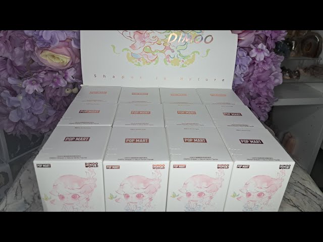 Unboxing Dimoo "Shapes in Nature!"