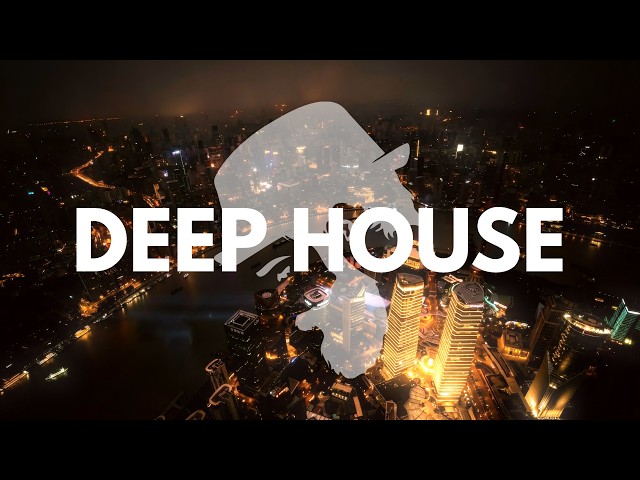 Gentleman - A Very Deep House Mix [Night Grooves] Vol.3