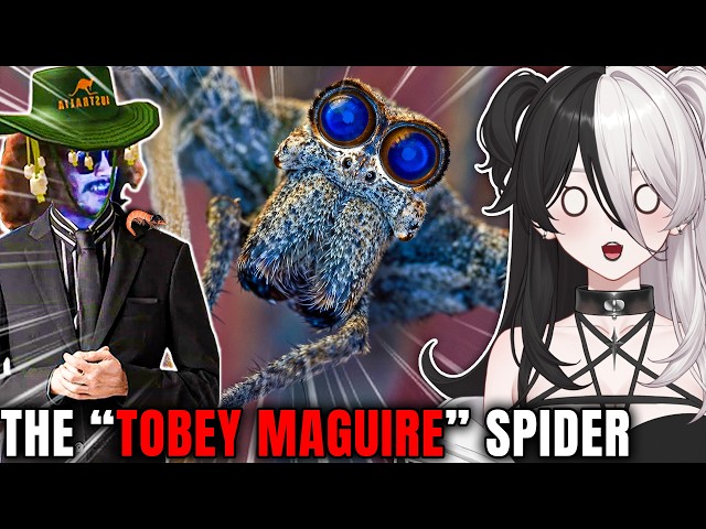 I'll NEVER Be the Same! Vtuber Reacts to MORE MoreParz!