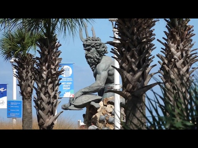 Why some Virginia Beach Oceanfront palm trees are dying