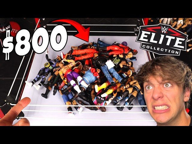 I Spent $800 on WWE Action Figures…