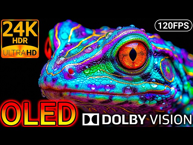 OLED Test: Deep Forest Vibrant Wildlife in 24K HDR 120FPS Dolby Vision 8K/4K Video