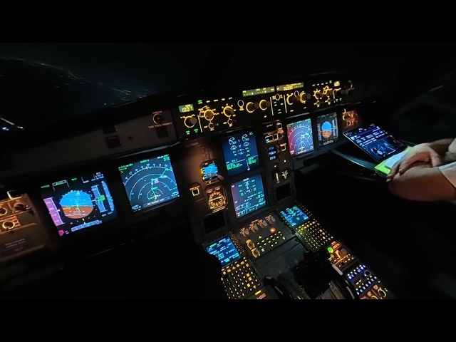 Was My Approach Speed Too Low? A320 Landing! ✈️