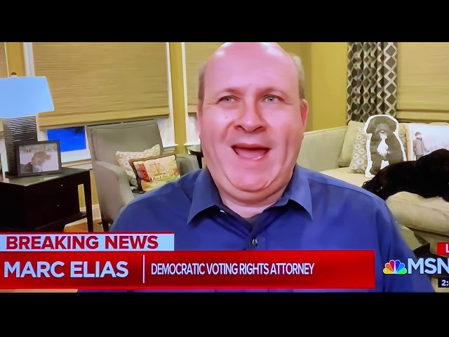 DEMOCRACY DOCKET MARK ALIZE