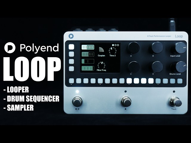 Polyend Loop 8-Track Performance Looper | Demo