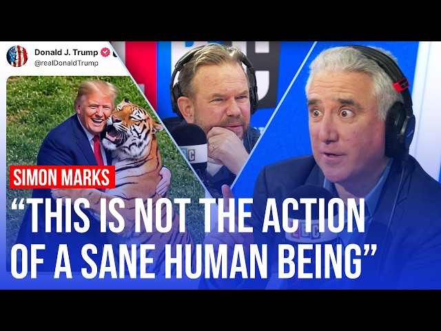 Simon Marks reacts to 'staggering' AI video of Trump wrestling tiger