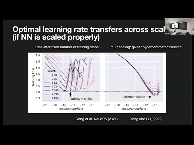 Roi Holtzman | Hyperparameter Transfer for Dense Associative Memories