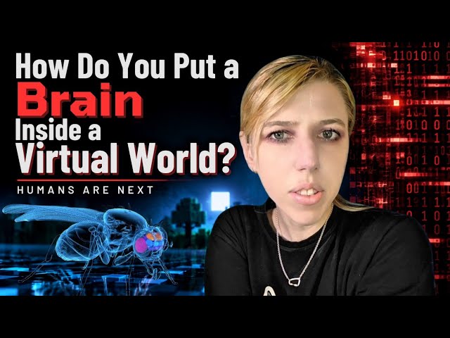 How Do You Put A Brain In A Virtual World: Humans Are Next 