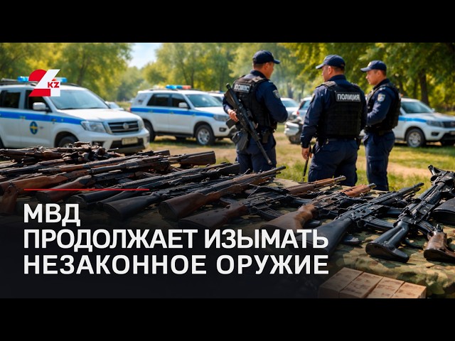 Ministry of Internal Affairs Continues Seizing Illegal Weapons