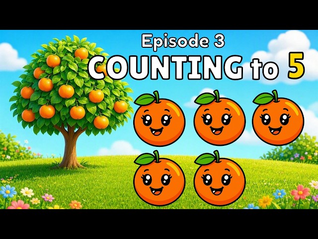 Counting to 5 with Oranges | Tiny Fruit Math Ep.3