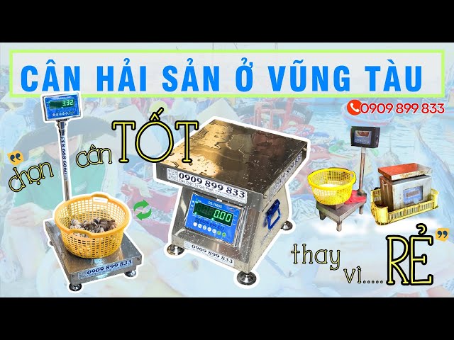 "Choose a GOOD SCALE instead of a CHEAP SCALE" - DELIVERY OF SEAFOOD SCALE DS-166SS 100KG 200KG 3...