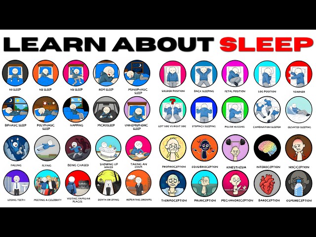 Everything You DON'T Know About Sleep, But Should Know