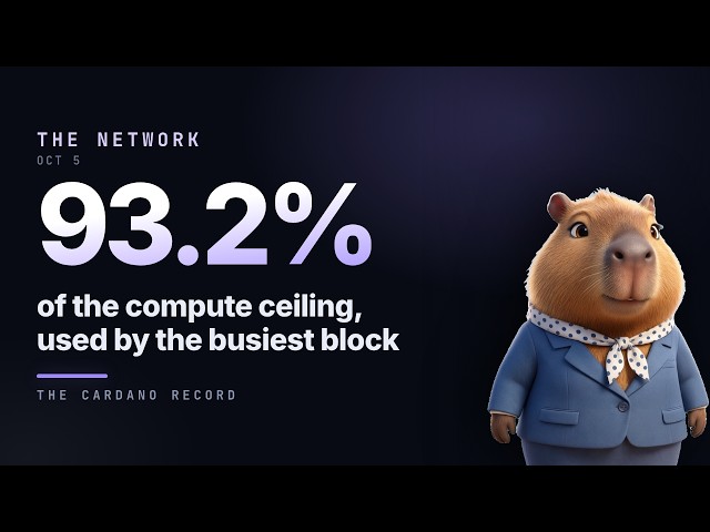 Cardano network: 93.2% of the compute ceiling, used by the busiest block (Oct 5)