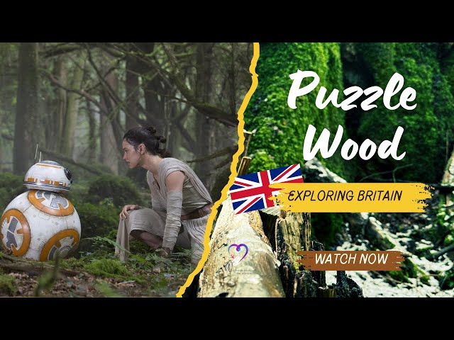Explore Puzzlewood in Gloucestershire 🌿 | Where Star Wars Was Filmed!