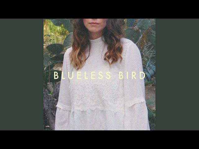 Blueless Bird