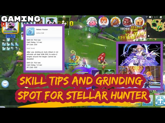 STELLAR HUNTER - SKILL TIPS AND GRINDING SPOT IN WASTELAND | Ragnarok M Eternal Love [GAMEXPLORE]