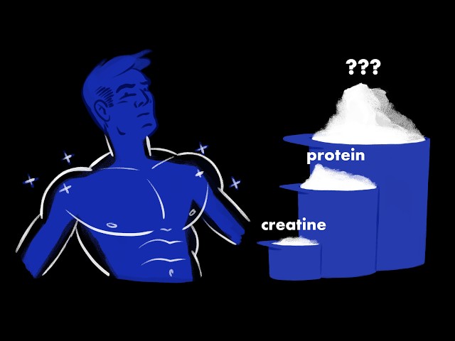 The Third Bulking Supplement