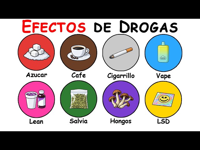 Every Drug and Its Effect Explained | The Ones You Take Every Day