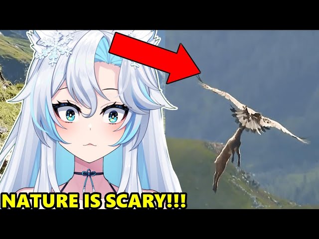 THESE BIRDS ARE PSYCHOS!!!! || CasualGeographic React