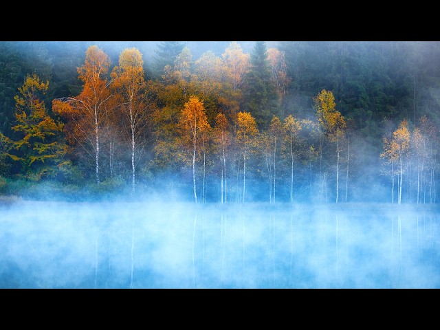 Finding peace in Autumn" Beautiful Relaxing Music, Peaceful Soothing Instrumental Music by Tim Janis