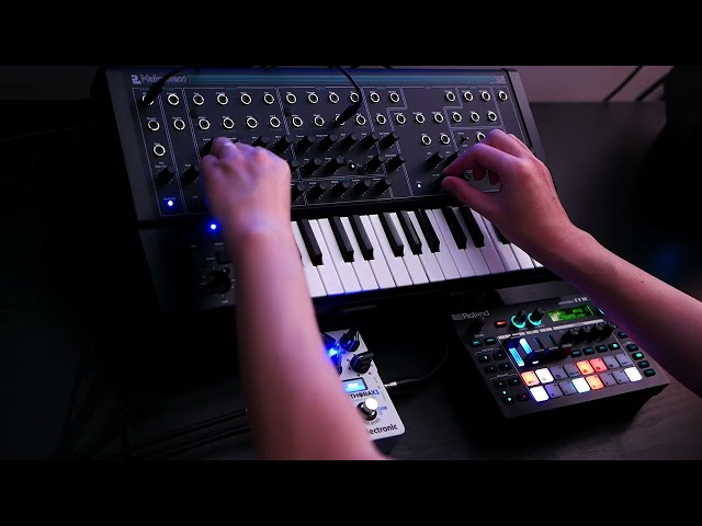 Techno Jam with PWM Malevolent / Roland MC-101 / tc electronic Plethora X1