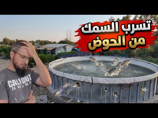 Major Disaster: Fish Escaping the Tank, How to Adjust the Drain, The Ultimate Solution to the Fou...