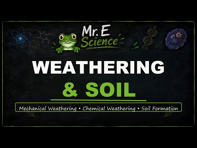 Weathering & Soil | Middle School Earth Science | Mr. E Science