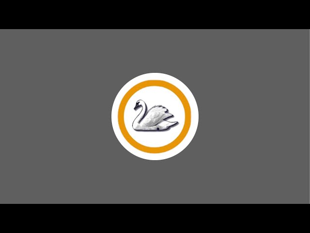 Swan 2.14 半决赛