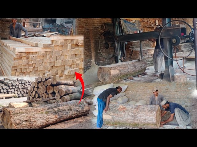How To Cut Big Tree With Ara Machine And Make into Wood Smaller Pieces|| Wood Cutting Skills