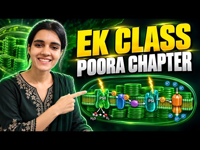 Photosynthesis Complete Revision in One Class | PYQ Included | CSIR NET Life Science