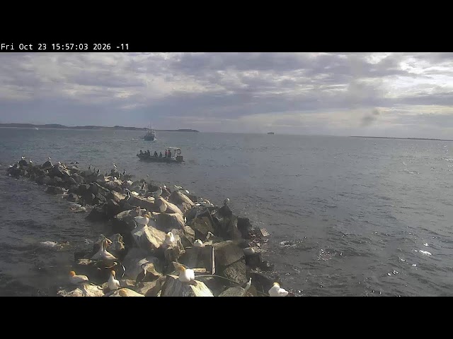 Pope's Eye Above Water Camera