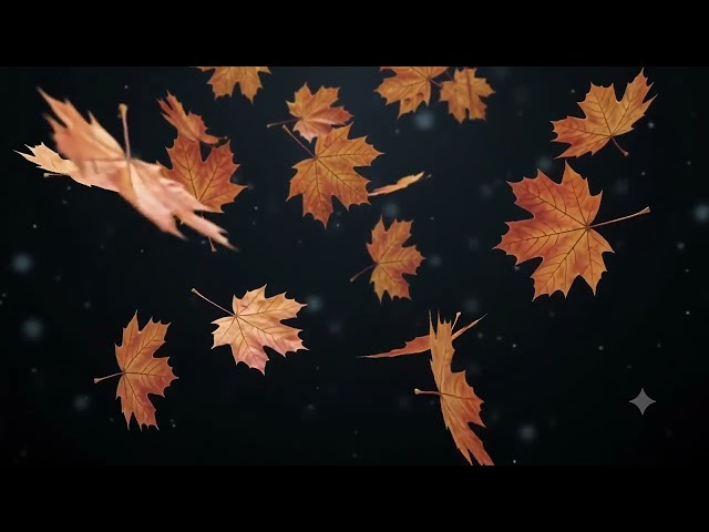 🍁 3D Maple Leaves Falling Slowly 🍂 | 4K Seamless VJ Loop | Black Background | Cosmic VJ Studio! ✨