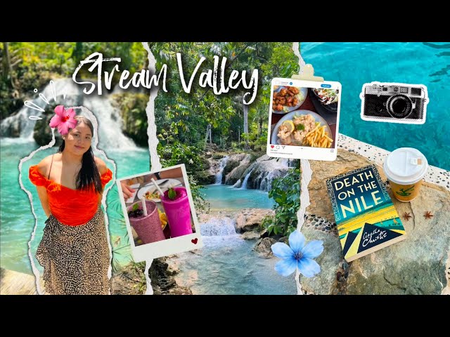 slowing down at stream valley nature park in samal island 🌿 | a digital diary