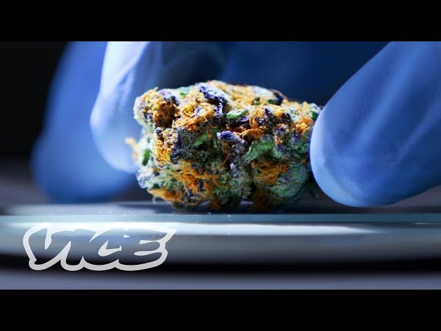 The Lab Making Sure Your Legal Weed Is Safe to Smoke