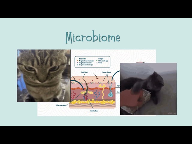 Innate Immunity & the Inflammatory Response