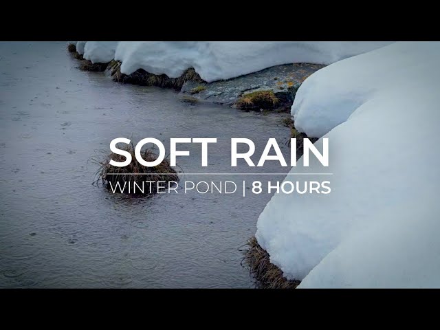 Ad Free–Winter Pond Serenity | 8 Hours Soft Rain for Relaxation & Meditation Focus Study Fall Asleep