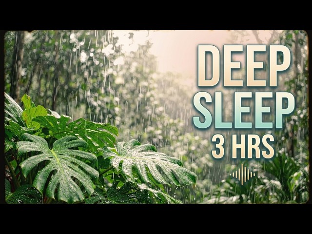 3 Hours Deep Tropical Rain - Perfect Seamless Loop for Sleep & Focus