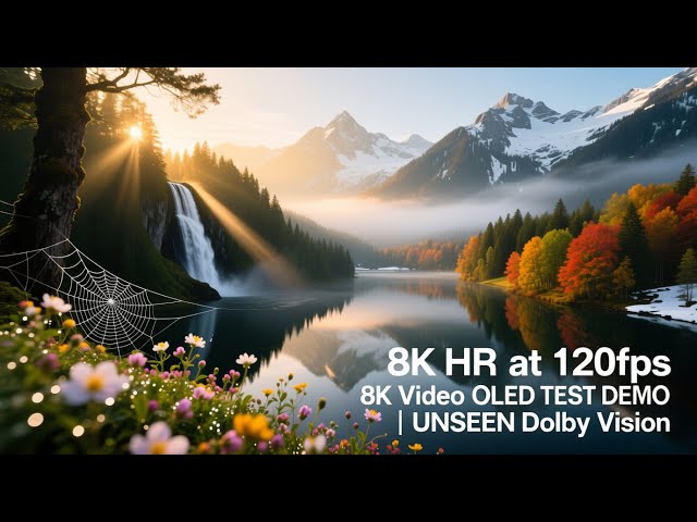 8K HDR at 120fps 8K Video OLED TEST DEMO | UNSEEN Dolby Vision