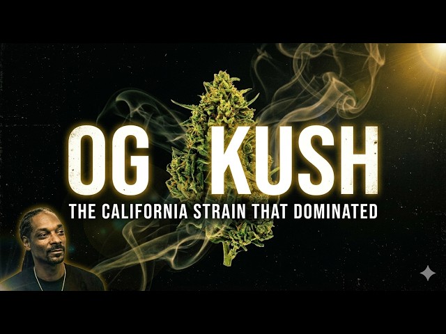 OG Kush: The California Strain That Once Dominated the Cannabis Industry