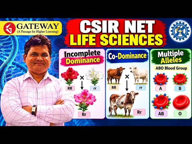 Incomplete dominance Codominance Multiple alleles | CSIR NET Life Sciences | GATE XL | Inheritance