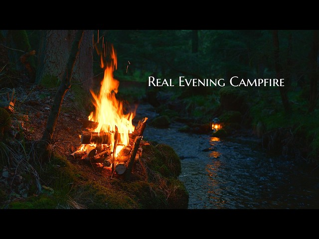 4K Evening Campfire by the Stream 🔥 Crackling Fire & Flowing Stream
