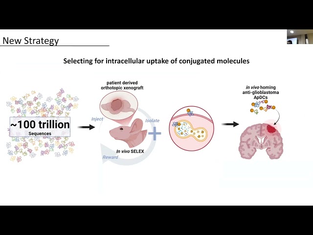 #AptOx26: Dr Caroline Doherty - In vivo selection of anti-glioblastoma DNA aptamers for targeted