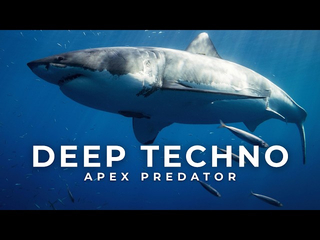 Deep Techno Mix 2026 | Apex Predator | Cinematic 4K Visuals