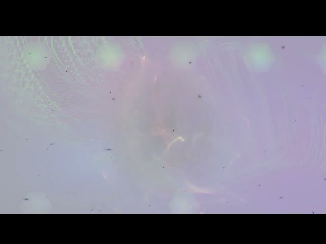 2026 09 06 00 29 29 newbold wvn highlight 008