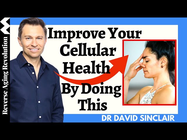 IMPROVE Your Cellular Health By Changing The Oxygen Level In Your Body | Dr David Sinclair Clips