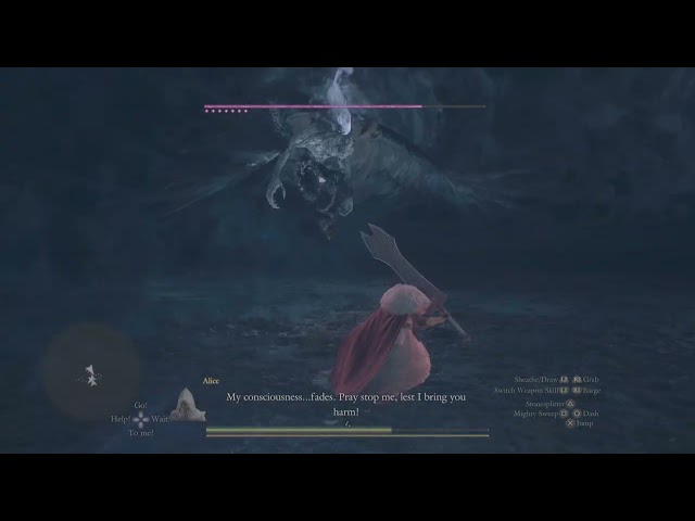 beating the true Dark Arisen Final Boss [Full Fight] i got combo by my pawn 😭